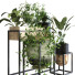 Pots de fleurs Ensemble de plantes 053 - unisjamavari