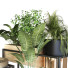 Pots de fleurs Ensemble de plantes 053 - unisjamavari