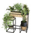 Pots de fleurs Ensemble de plantes 053 - unisjamavari