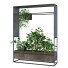 Maceta Conjunto de plantas 055 - unisjamavari