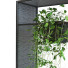 Maceta Conjunto de plantas 055 - unisjamavari