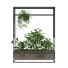 Maceta Conjunto de plantas 055 - unisjamavari