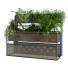 Macetas Conjunto de plantas 056 - unisjamavari
