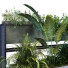 Macetas Conjunto de plantas 056 - unisjamavari
