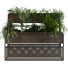 Macetas Conjunto de plantas 056 - unisjamavari