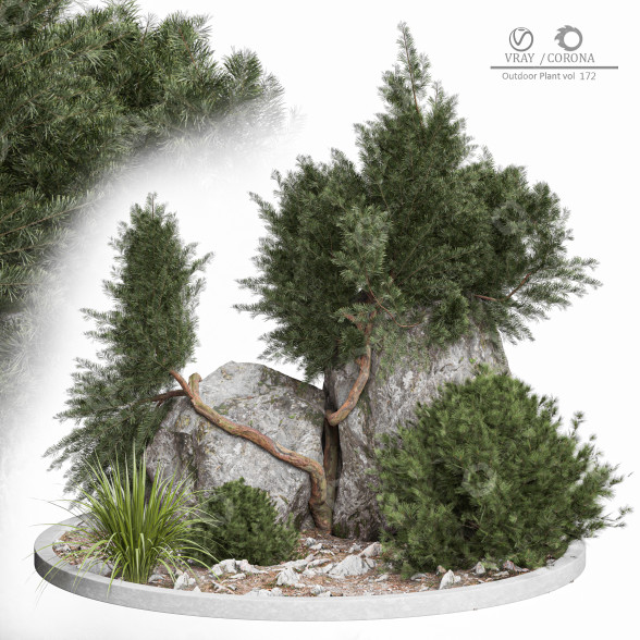 Árbol y arbustos Planta en exterior 172 Modelo 3D