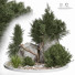 Árbol y arbustos Planta en exterior 172 - uniquevry