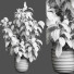 Blumentopf Zimmerpflanzen 167 - uniquevry