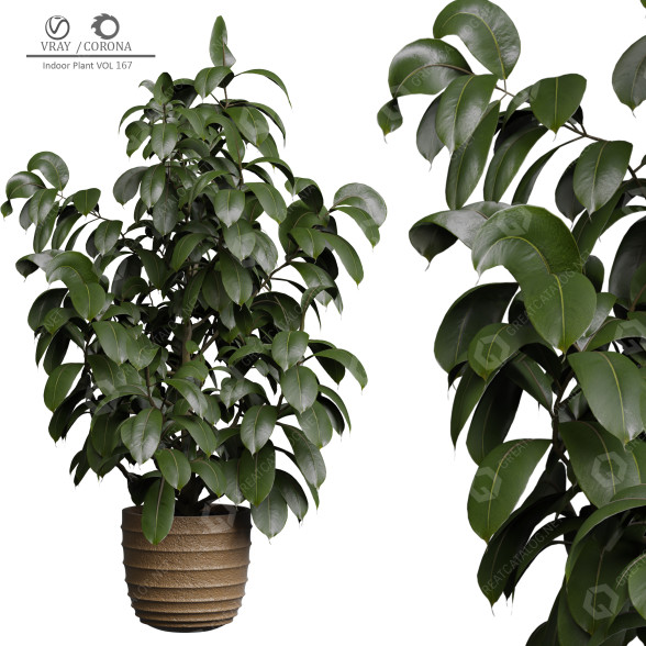 Blumentopf Zimmerpflanzen 167 3D-Modell