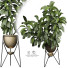Pot de fleurs Plantes d'intérieur 168 - uniquevry