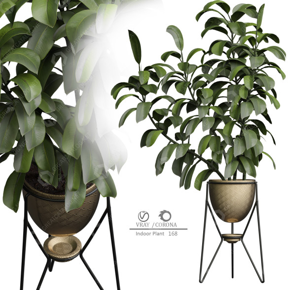 Pot de fleurs Plantes d'intérieur 168 modèle 3D