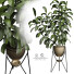 Pot de fleurs Plantes d'intérieur 168 - uniquevry