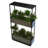 Macetas Planta en caja conjunto 065 - unisjamavari