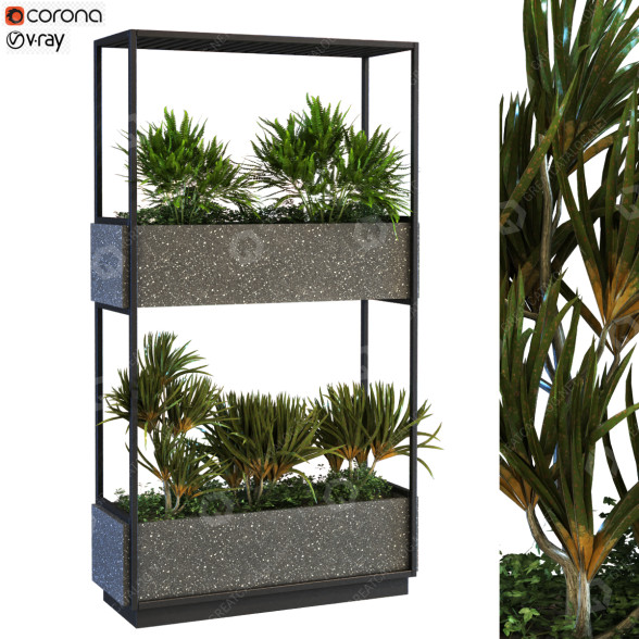 Macetas Planta en caja conjunto 065 Modelo 3D