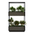 Macetas Planta en caja conjunto 065 - unisjamavari