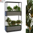 Macetas Planta en caja conjunto 065 - unisjamavari