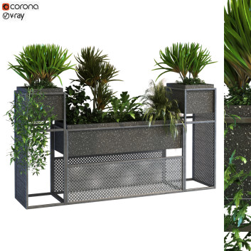 Doniczki  Plant in Box Set 066 Model 3D