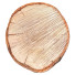 Baum Stamm 73 - 3lordmax