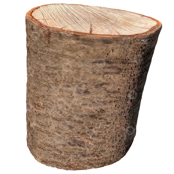 Baum Stamm 73 3D-Modell