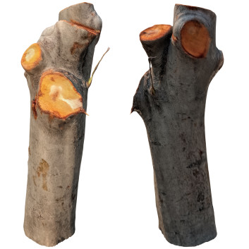 Trunk 75