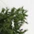 Decoración Restoration Hardware Set in Scandinavian Style - Levitskiy_Igor