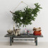 Decoración Restoration Hardware Set in Scandinavian Style - Levitskiy_Igor