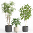 Flowerpots Indoor Plant Set 027 - nr.asgari