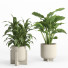 Flowerpots Indoor Plant Set 027 - nr.asgari