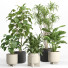 Flowerpots Indoor Plant Set 027 - nr.asgari