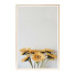 Pictures Wall Frame 71 - farnaz3dsky