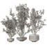 Pots de fleurs Ensemble de plantes d'intérieur 008 - SpinelCGI