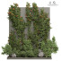 Rośliny i dekoracje Outdoor Plant 178 - uniquevry