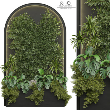 Indoor Plant 171