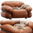Sessel Tacchini Sesann - Navasard