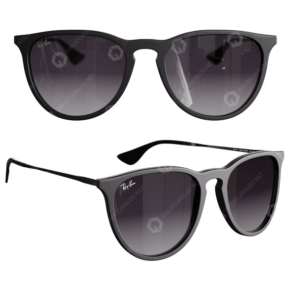 Окуляри Ray-Ban Erika Classic 3D модель