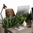Espace de travail Office Furniture 09 - reyhaneh2004
