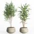 Flowerpots Indoor Plants in Concrete Pot Set 32 - nr.asgari