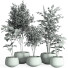 Flowerpots Indoor Plants in Concrete Pot Set 32 - nr.asgari
