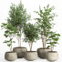 Flowerpots Indoor Plants in Concrete Pot Set 32 - nr.asgari