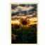Картини Wall Frame 94 - farnaz3dsky