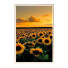 Картини Wall Frame 94 - farnaz3dsky