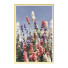 Pictures Wall Frame 95 - farnaz3dsky