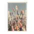 Pictures Wall Frame 95 - farnaz3dsky