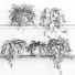 Flowerpots Hanging Plats 2 - nr.asgari