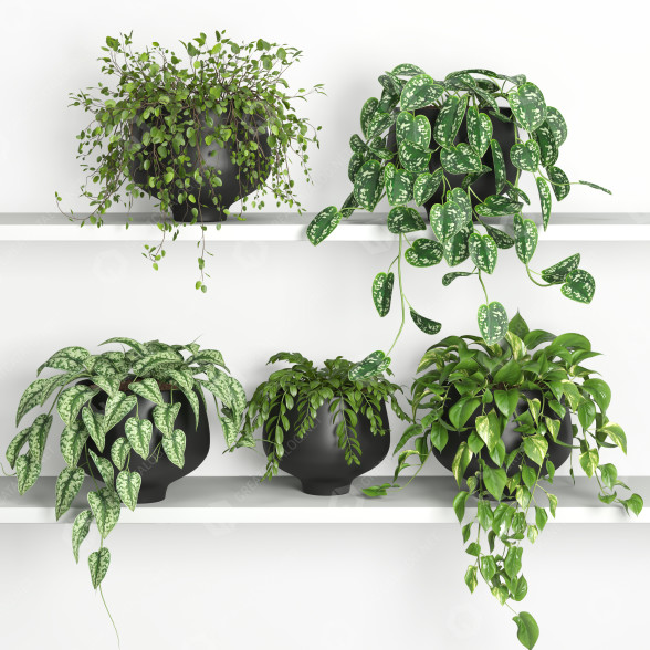 Flowerpots Hanging Plats 2 3D model