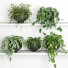 Flowerpots Hanging Plats 2 - nr.asgari
