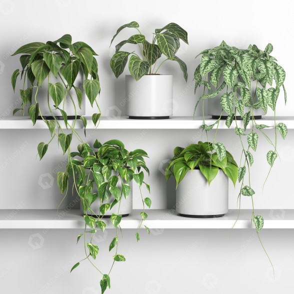 Flowerpots Plants 04 3D model