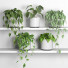 Flowerpots Plants 04 - nr.asgari