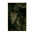 Bilder Wall Frame 101 - farnaz3dsky