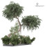 Árbol Planta en exterior 180 - uniquevry
